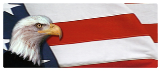 DNSEMP-L-410 With Love and Honor